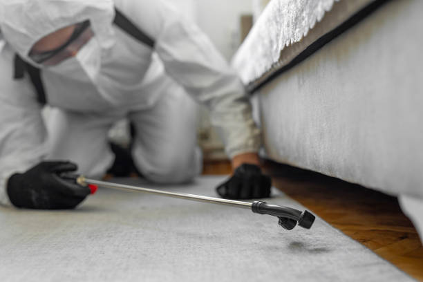 Professional Termite Control technician working in Bagdad, FL
