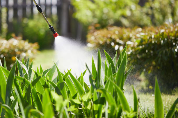 24/7 Emergency Termite Control experts in Bagdad, FL