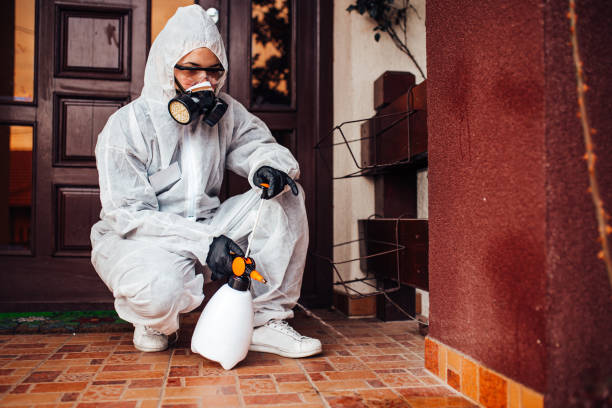Reliable Termite Control contractor in Bagdad, FL by Nex Pest Control