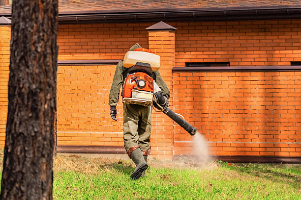 Top rated local Termite Control specialists in Bagdad, FL